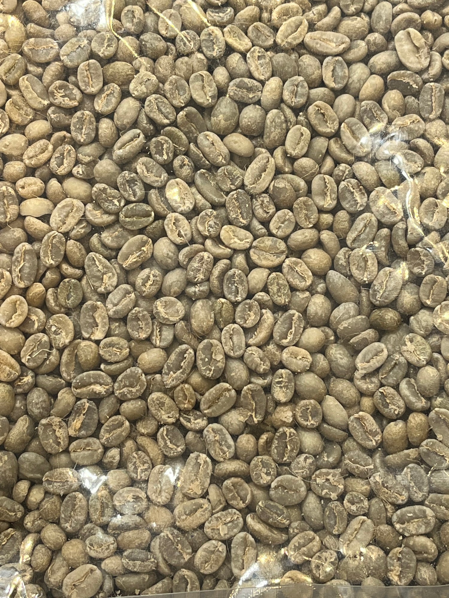 Green Beans 250g/ 500g/ 1kg